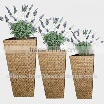 Tall Square Baskets/ New Flower Planters 2012
