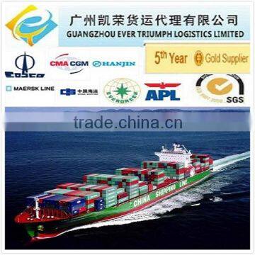 Sea Freight DDU Shipping Service from China to Belawan