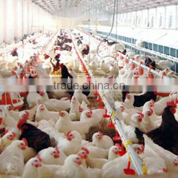 Full Set Automatic Poultry Farming Equipment for Breeder Farm House