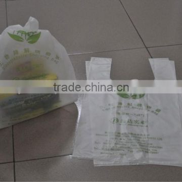 Biodegradeble Shopping Bag
