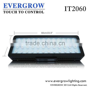 IT2060 I touch dimmable cheap led aquarium light with Program