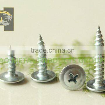 White zinc modified truss head self tapping screw made in China