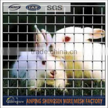 Anping factory galvanized welded wire mesh price for rabbit cage