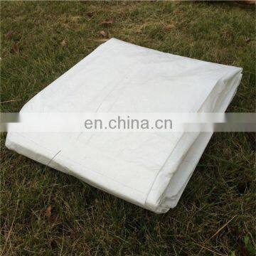 Woven Coated Polyethylene tarps for ground cover