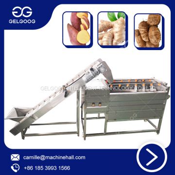 Vegetable And Fruit Cleaner Machine Carrot Washing Machine For Potatoes Cleaning