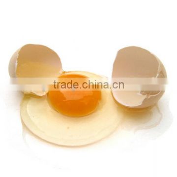 chicken egg for sale