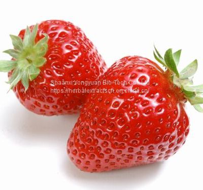 Strawberry Extract, Strawberry fruit powder, Fragaria Ananassa fruit powder