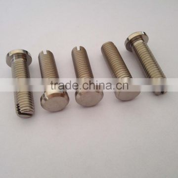 Factory Produced Titanium Slotted Bolt
