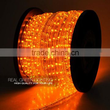 High quality Outdoor Use 12 Volt LED Rope Lights