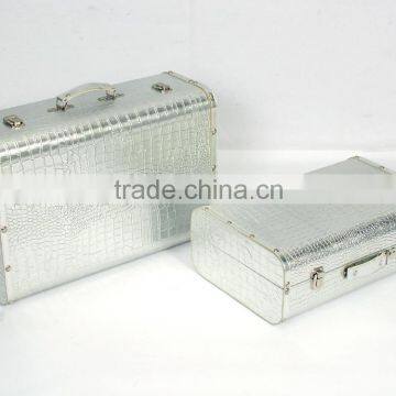 Simple rectangular silver alligator suitcase