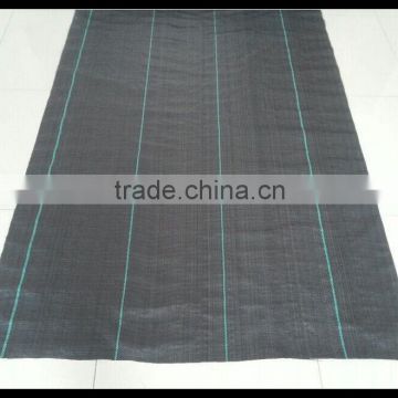 UV Resistance Agricultural PP or PE Fabric Mat Black Plastic Ground Cover