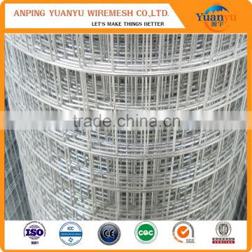 Hot Dipped Galvanized welded wire mesh for making crab trap
