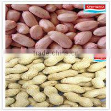 organic peanut kernels 24/28 28/32 34/38 38/42