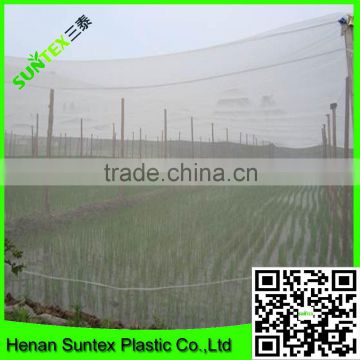 Dense Small Net anti Insect Netting Crop Veg Protection