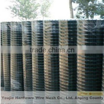 3/8" pvc coated welded wire mesh (20 years of manufacturer)
