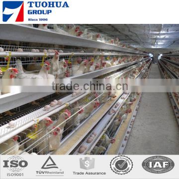 Chicken egg layer cages,chicken poultry layer cage for sale