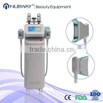 cryolipolysis / fat freezing slimming cryolipolysis weight loss cryotherapy