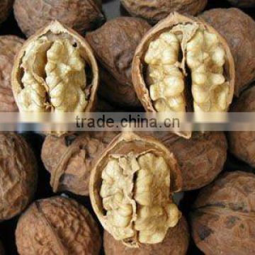 Supply walnut, walnut kernels