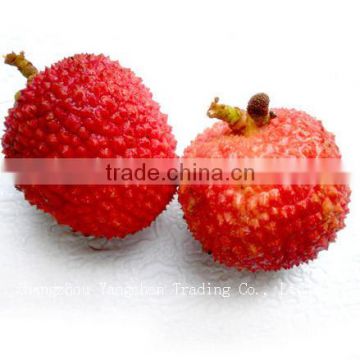 Canned Lychee Bottom Price