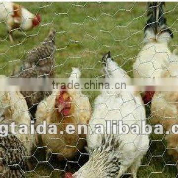 high quality galvanized /PVC coated chicken netting
