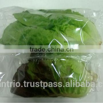 Automatic fresh vegetable, whole salad packing machine, vegetable packaging machine, packaging machine