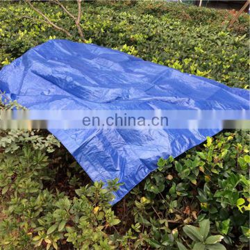 Plastic sheet greenhouse cover
