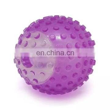 2020 Pet products  manufacturer Squeaky Balls for Dogs, Fetch Balls for Dogs  Bright Colors TPR  squeaky Toy for dogs