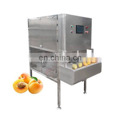 Electric Persimmon Pineapple Mango Apple Dragon Fruit Tangerine Remover Coring Peeler Ananas Peeling Machine