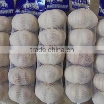 packing mesh bag garlic,2016 Crop Chinese jinxiang normal white garlic