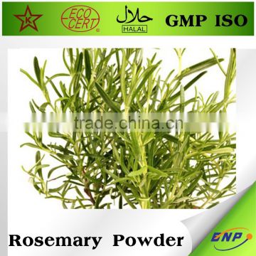 Mytext Rosemary Extract Rosemary Powder To The World