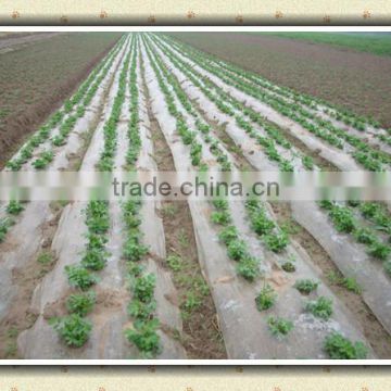 ldpe film agriculture greenhouse film