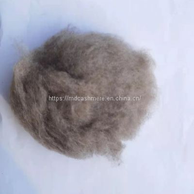 Tibetan yak wool dehaired grey color yak wool fiber
