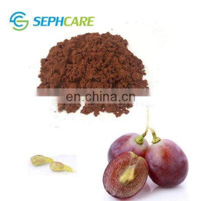 High quality edible natural pigment grape seed extract powder (95% opc)
