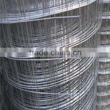 Welded wire mesh/galvanized welded wire mesh and pvc coated welded wire mesh/iron wire mesh