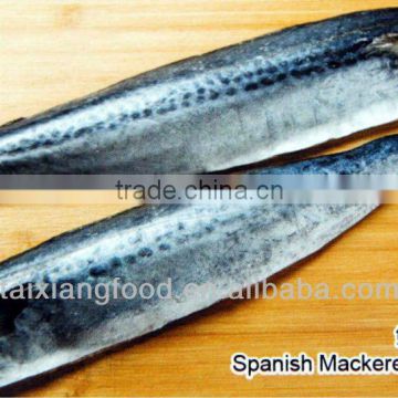 spanish mackerel fillet