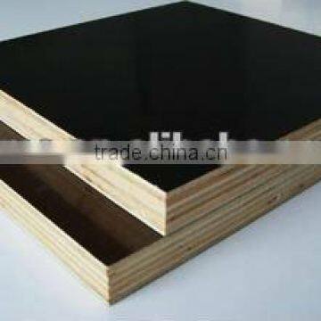 1220*2440mm China High quanlity commercial plywood sheet price for u