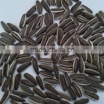 2015 new chinese sunflower seed
