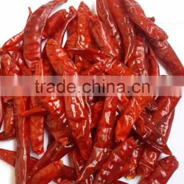 Best Quality Indian Red Chilli Exporters