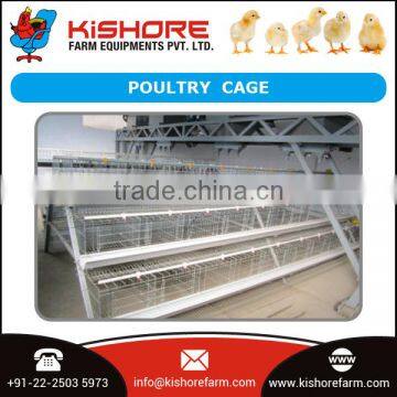 Highly Galvanised Poultry Cage for Supply by Reckoned Dealer