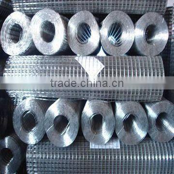 electro galvanized welded wire msh