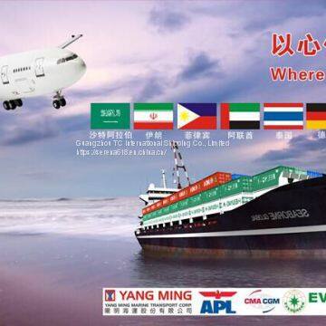 International logistics shipping Zhanjiang to Kuwait special line FCL shipping  double clearance to the door