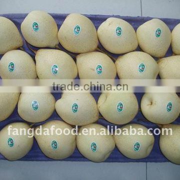 Fresh chinese ya pear with market price