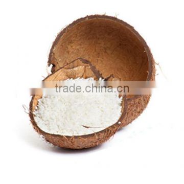DESICCATED COCONUT WORD HIGH FAT