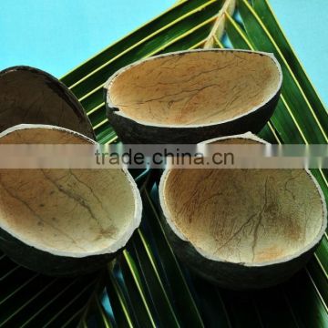 COCONUT SHELL RE- USABLE ICE CREAM CUPS