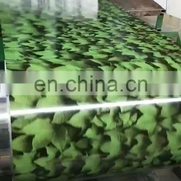 Prepainted GI steel coil / PPGI / PPGL color coated galvanized steel sheet in coil