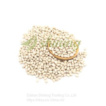 Organic Navy White Kidney Bean