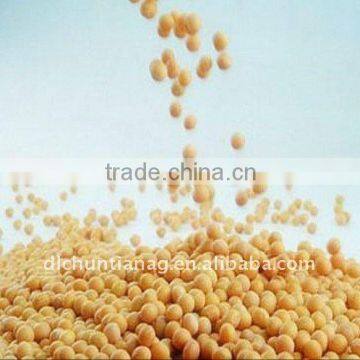 Chinese Organic Soybeans