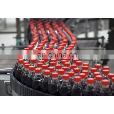 Professional automatic liquid bottle filling packing machine supplier liquid juice filling and capping machine