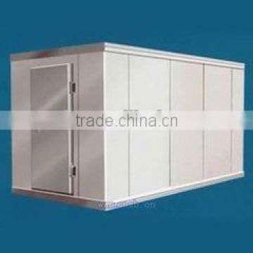 Defrost icecream storage freezer for meat and fish