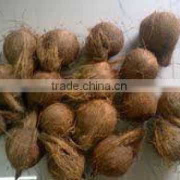 Natural Indian coconut